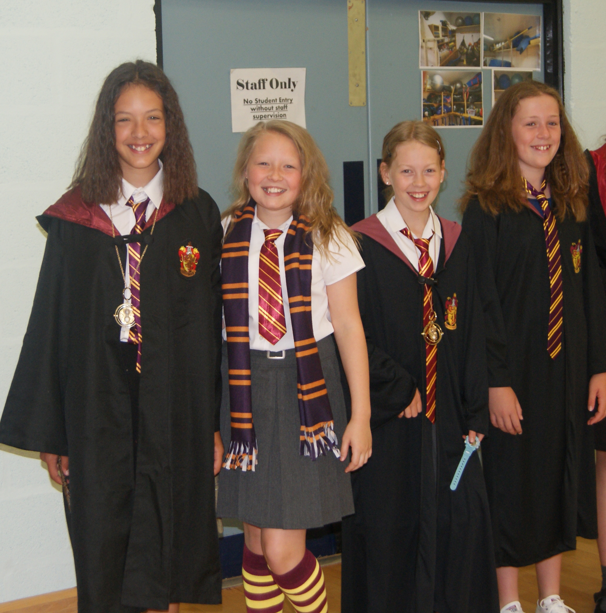 Harry Potter Day at Bromsgrove Prep School, 20th June 2017